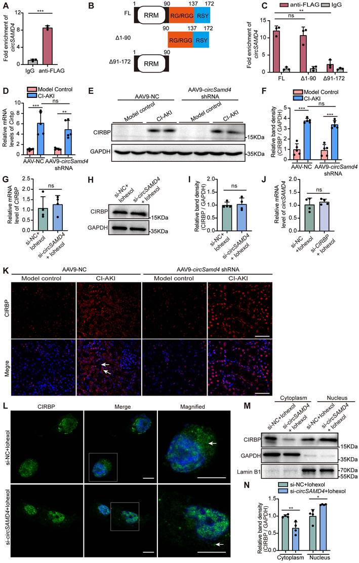 Int J Biol Sci Image