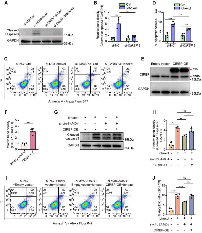 Int J Biol Sci Image