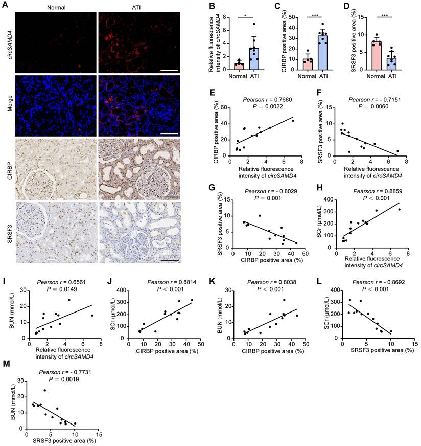Int J Biol Sci Image