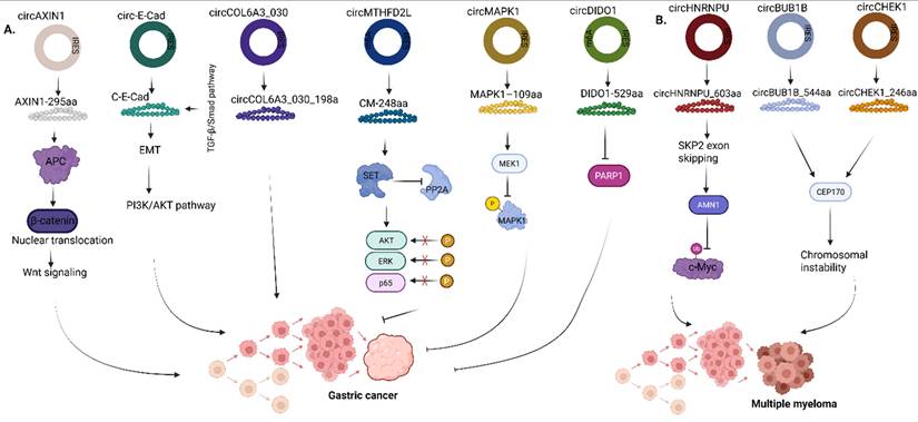 Int J Biol Sci Image