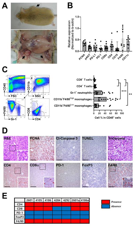 Int J Biol Sci Image