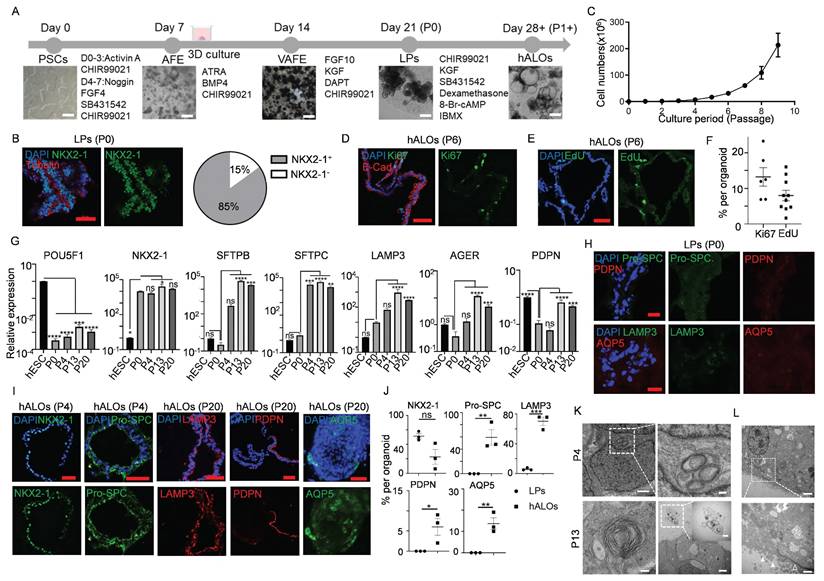 Int J Biol Sci Image
