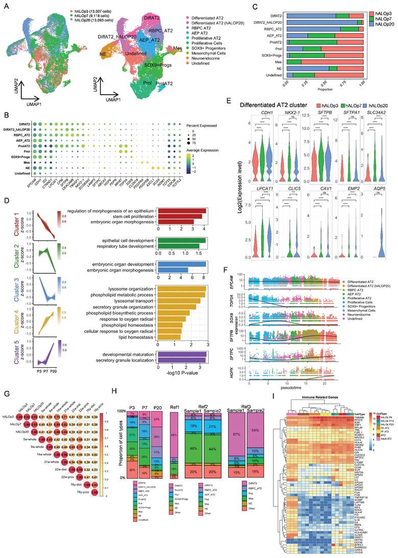 Int J Biol Sci Image