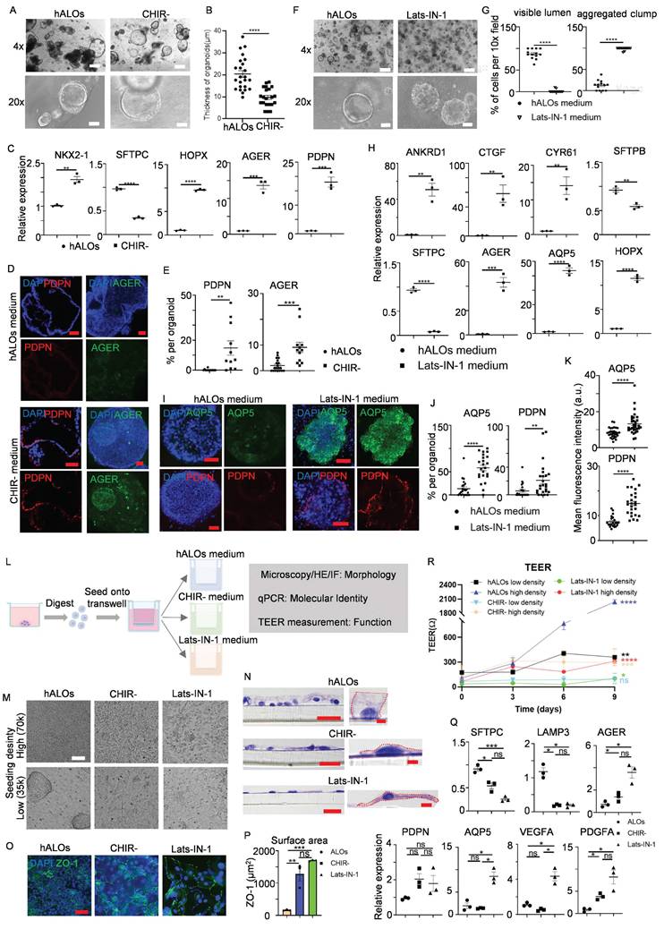 Int J Biol Sci Image