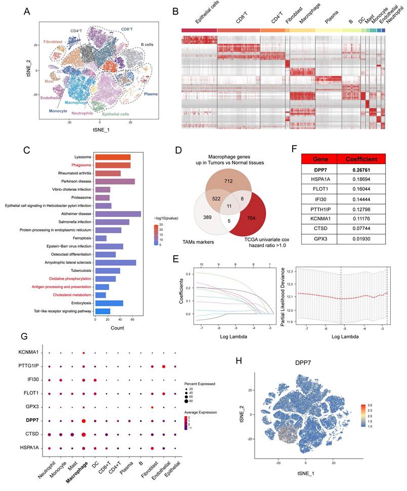 Int J Biol Sci Image