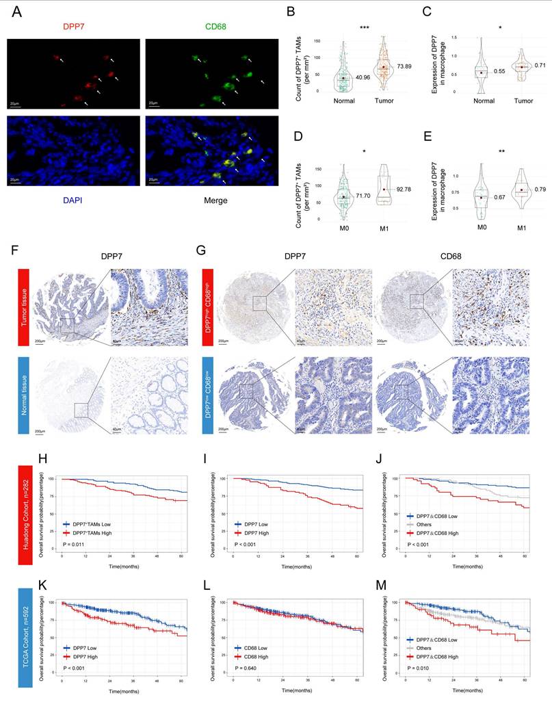 Int J Biol Sci Image