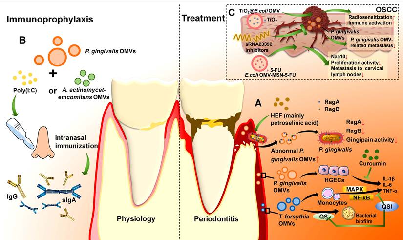 Int J Biol Sci Image