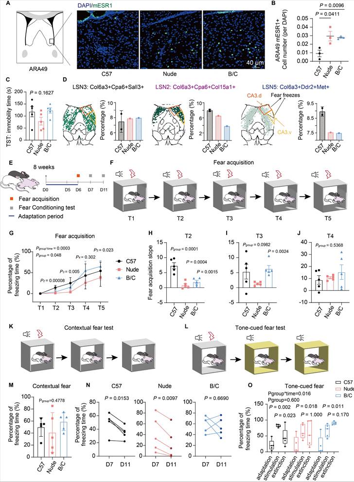 Int J Biol Sci Image