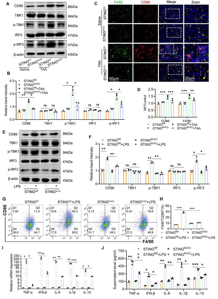 Int J Biol Sci Image