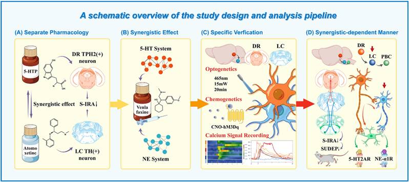 Int J Biol Sci Image