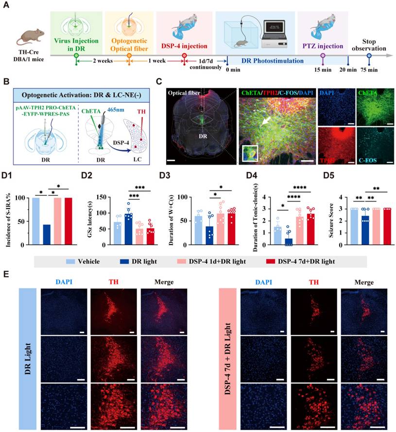 Int J Biol Sci Image