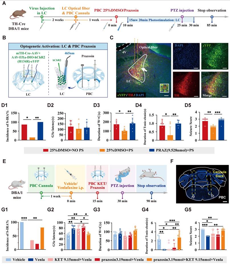 Int J Biol Sci Image