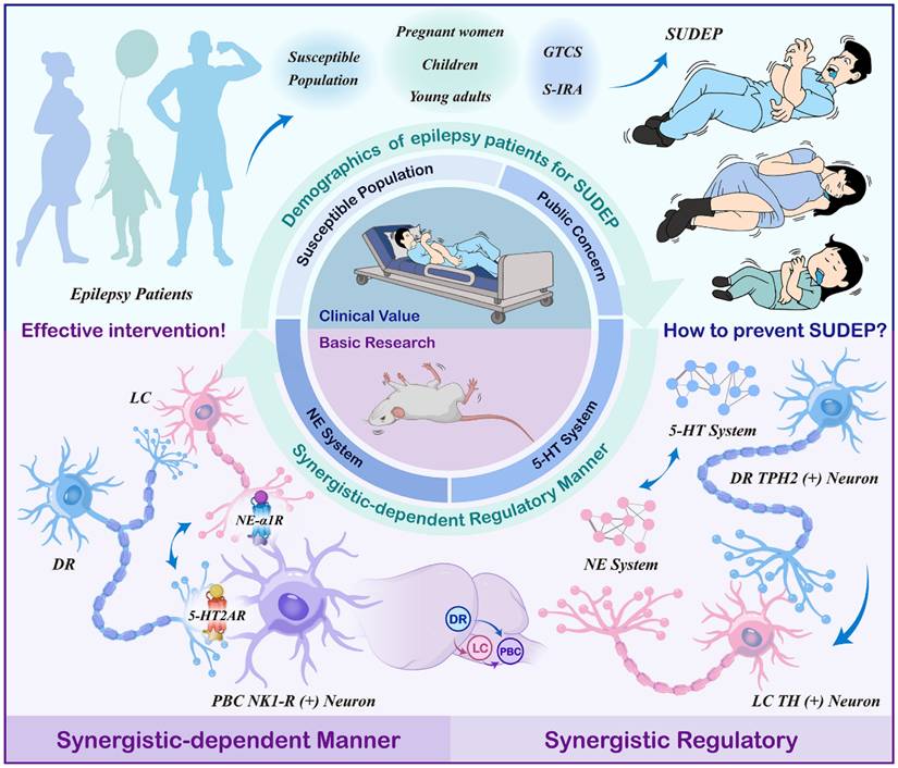 Int J Biol Sci Image