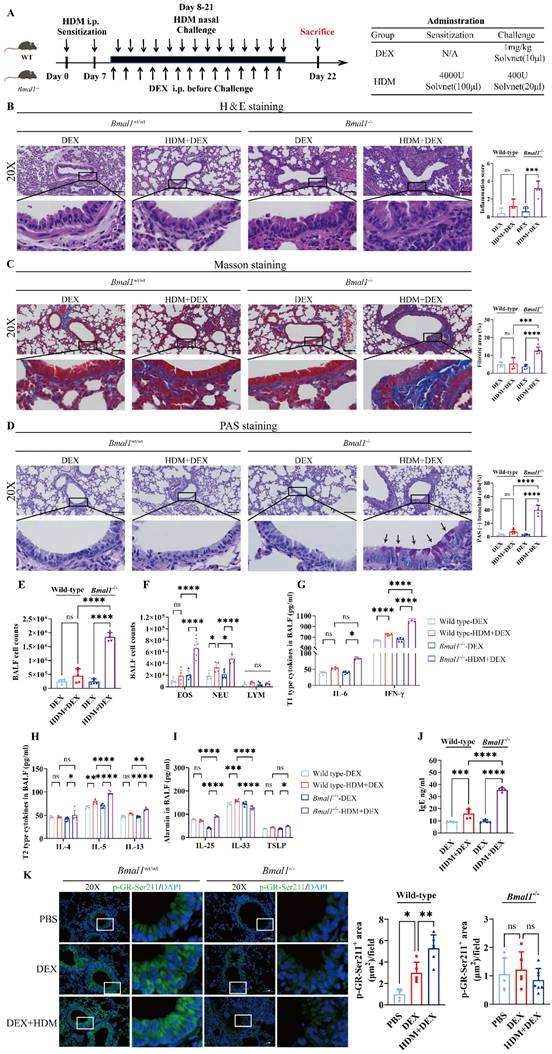 Int J Biol Sci Image