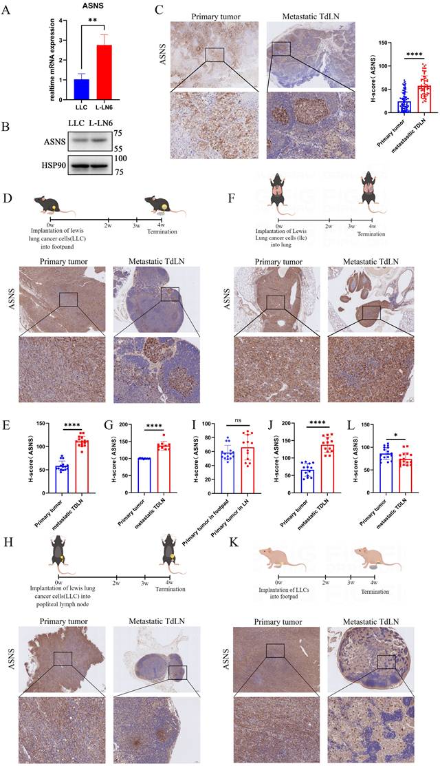 Int J Biol Sci Image