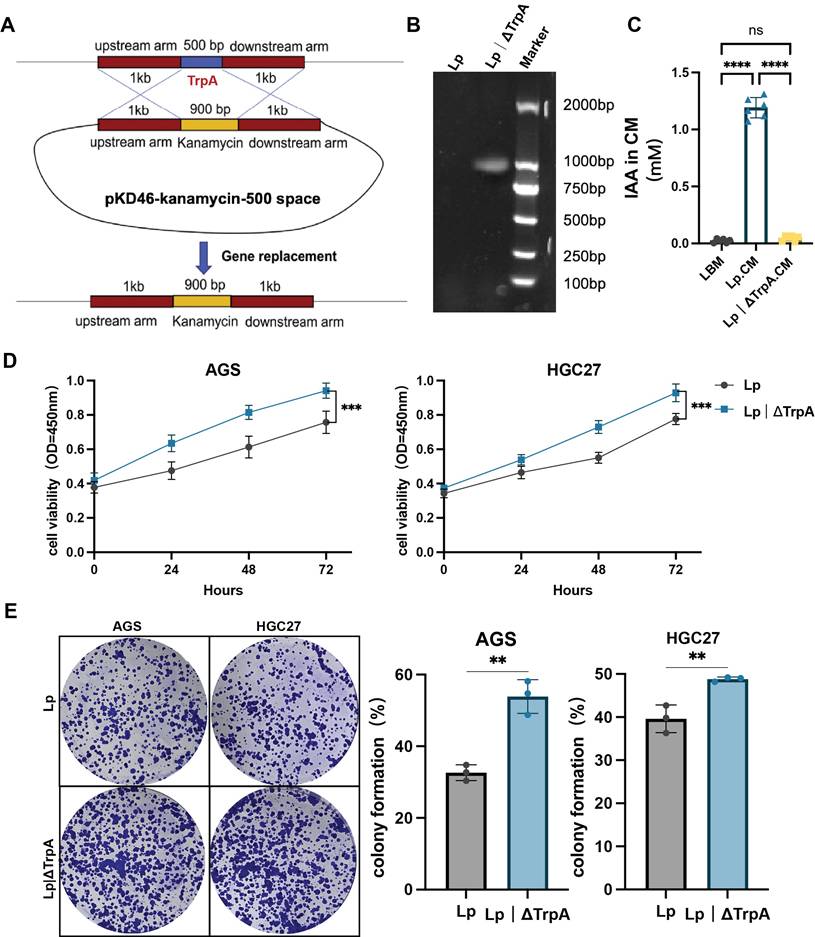 Int J Biol Sci Image