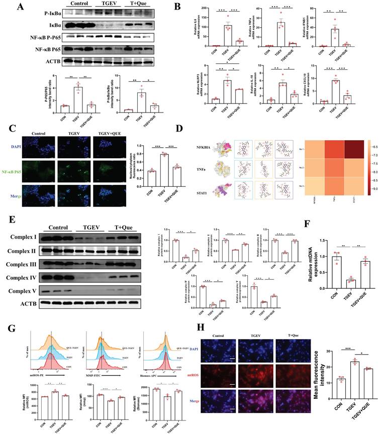 Int J Biol Sci Image