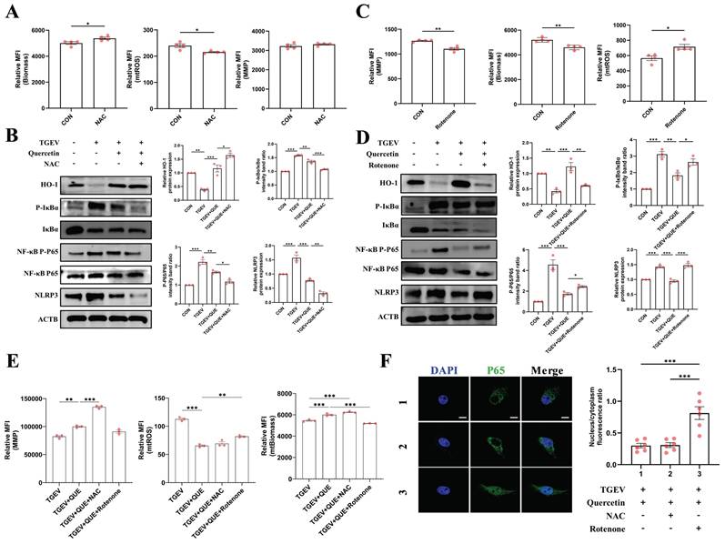 Int J Biol Sci Image
