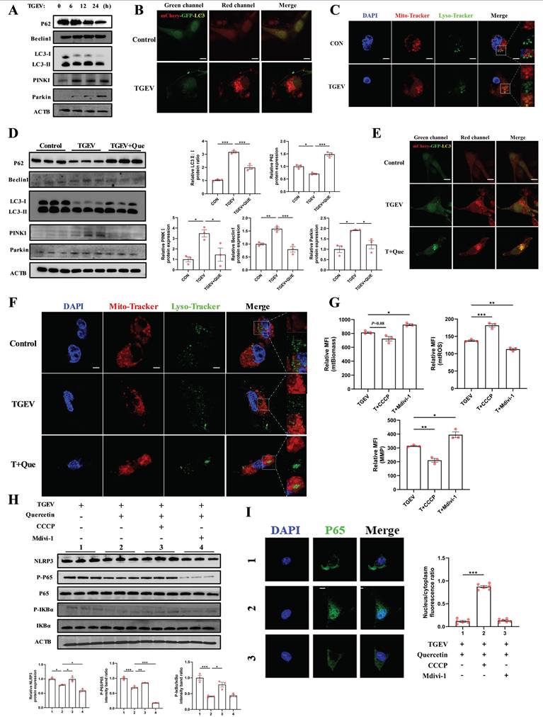 Int J Biol Sci Image