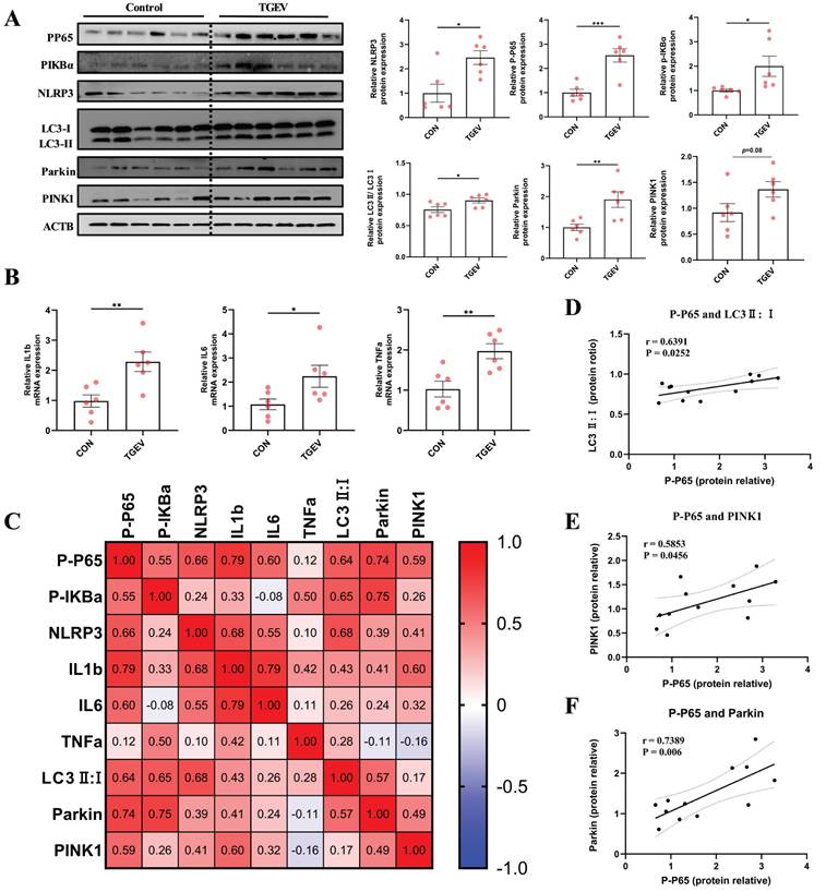 Int J Biol Sci Image