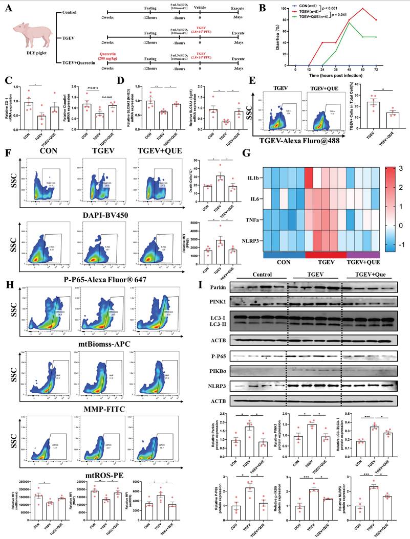 Int J Biol Sci Image