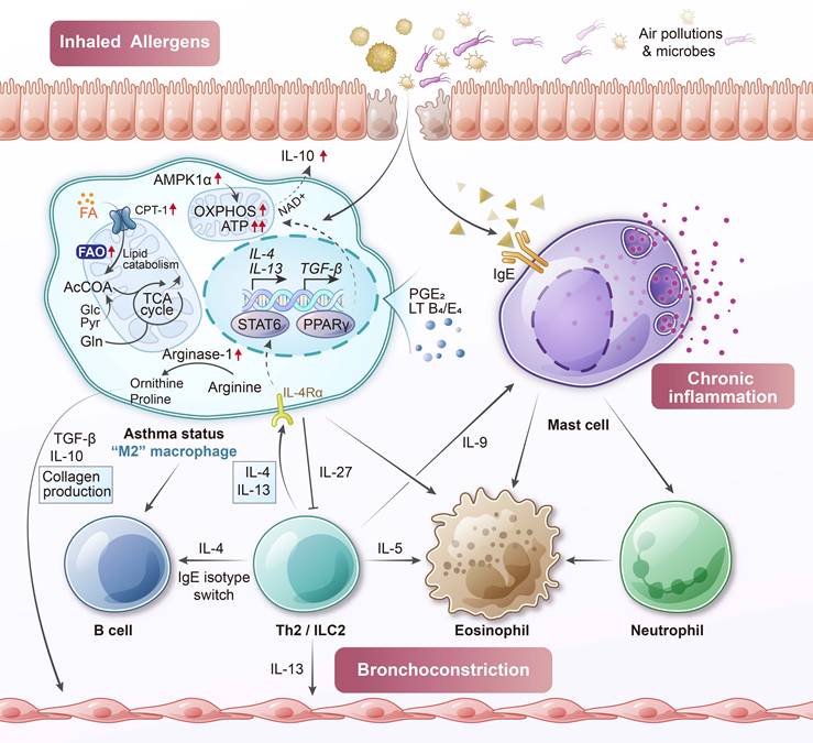 Int J Biol Sci Image