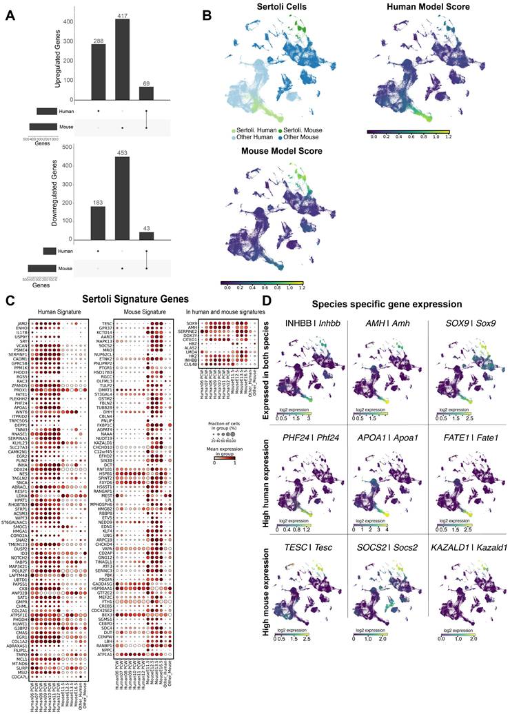 Int J Biol Sci Image