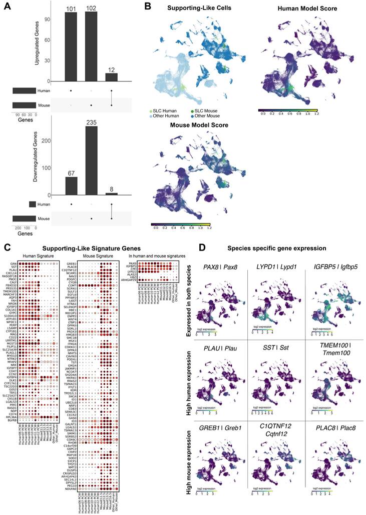 Int J Biol Sci Image
