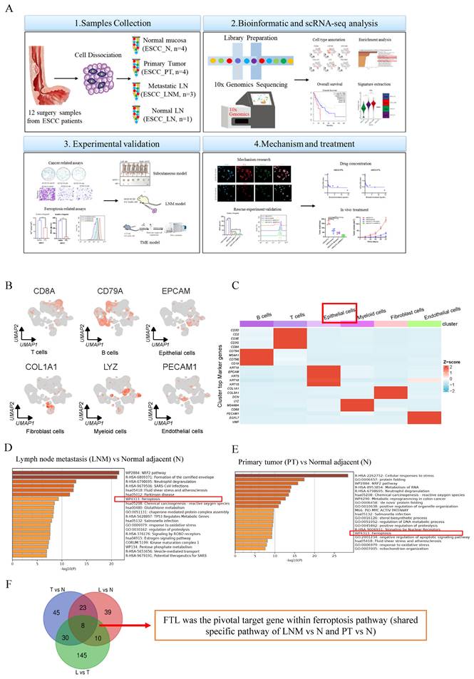 Int J Biol Sci Image
