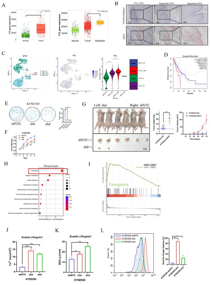 Int J Biol Sci Image