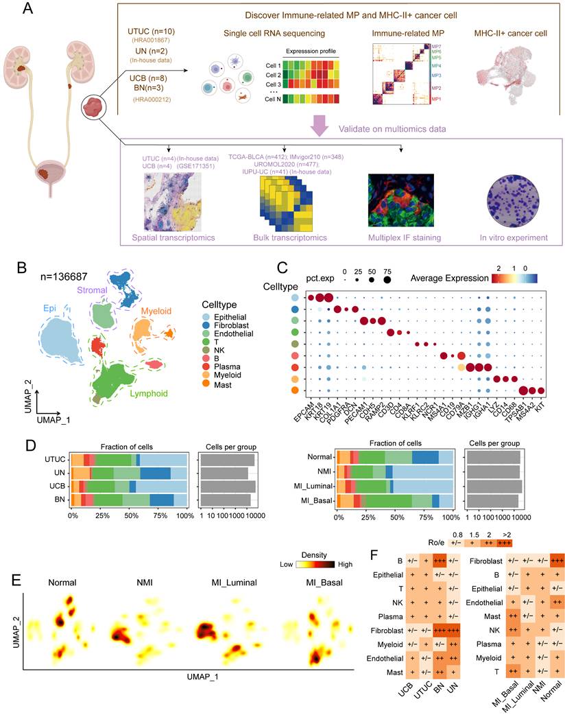 Int J Biol Sci Image