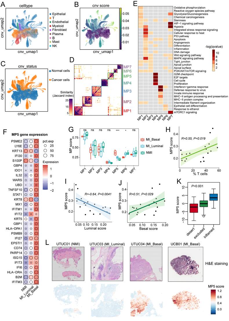 Int J Biol Sci Image