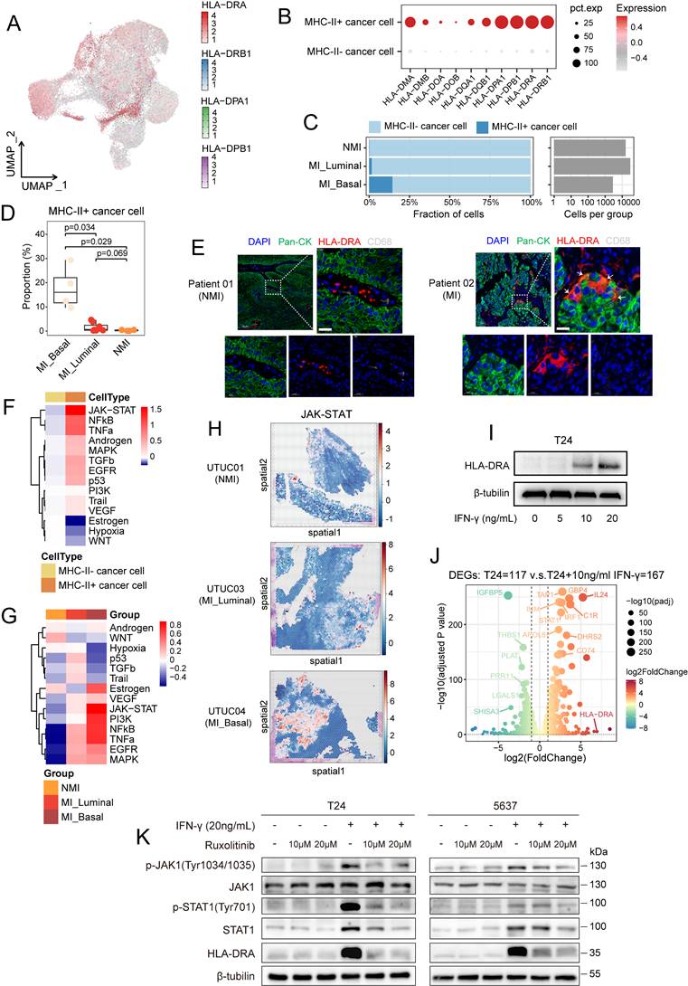 Int J Biol Sci Image