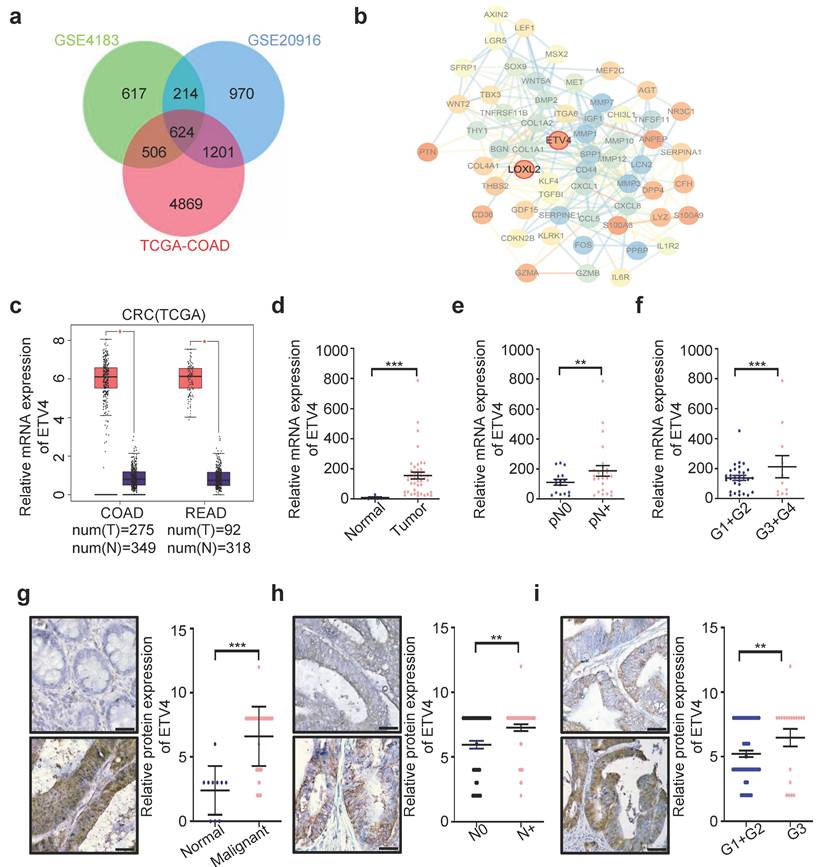 Int J Biol Sci Image