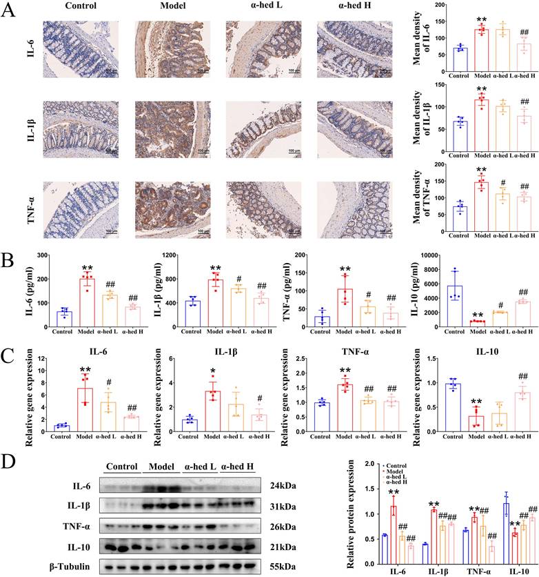 Int J Biol Sci Image