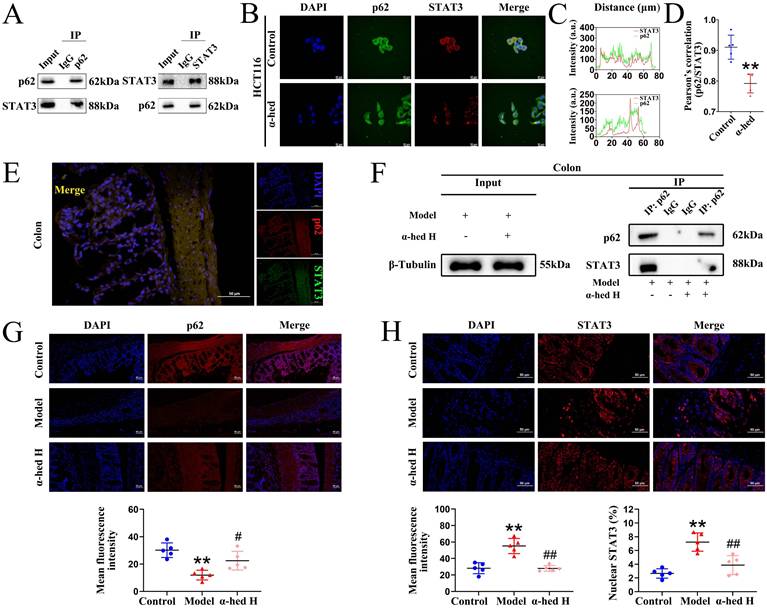 Int J Biol Sci Image