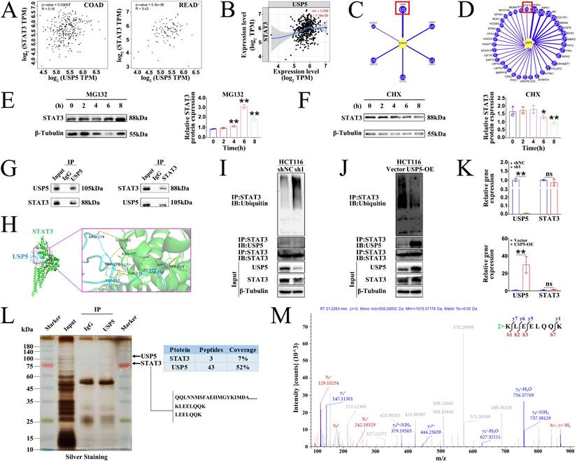 Int J Biol Sci Image