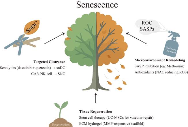 Int J Biol Sci Image