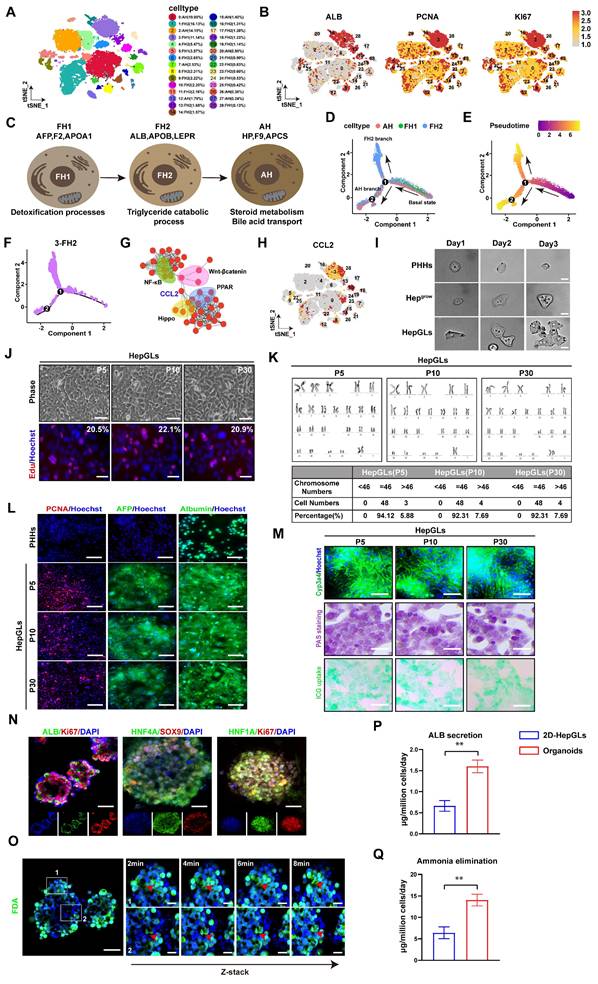 Int J Biol Sci Image
