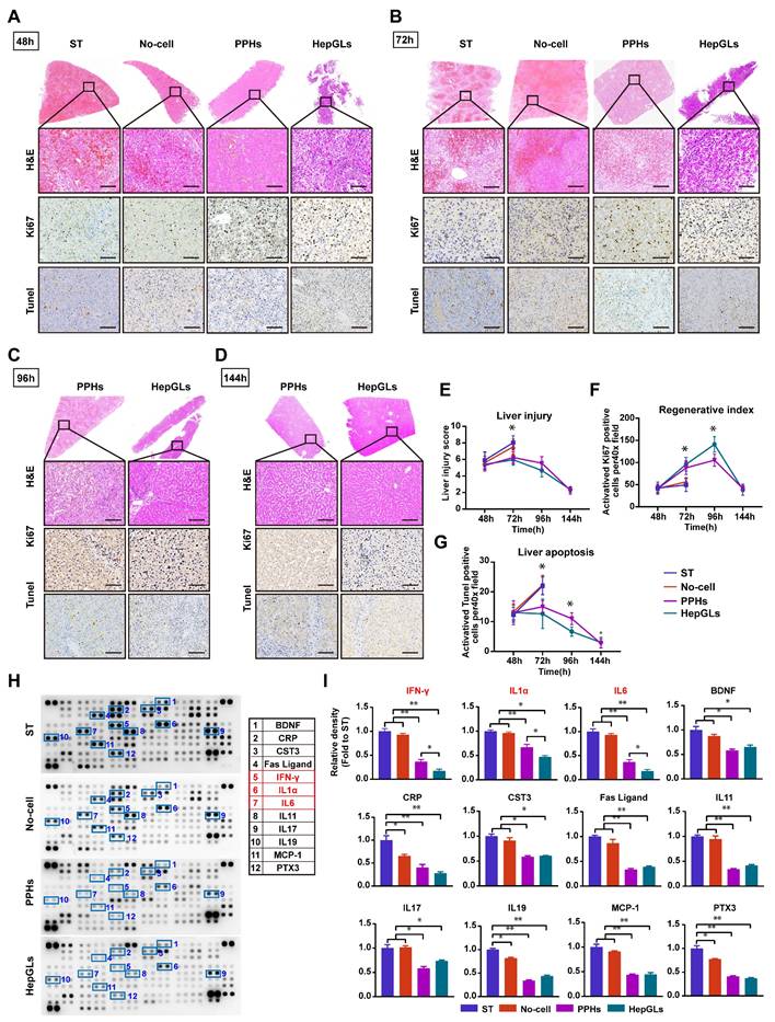 Int J Biol Sci Image