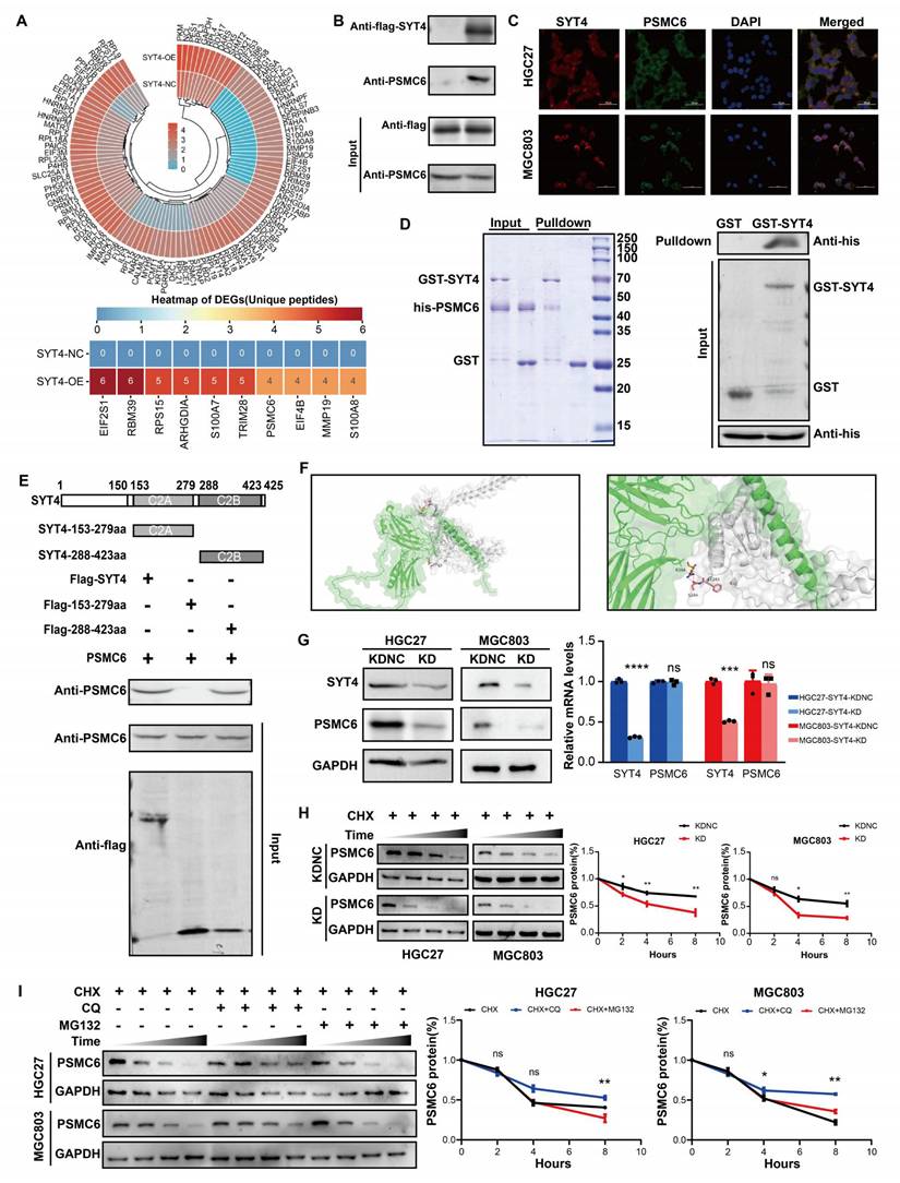 Int J Biol Sci Image