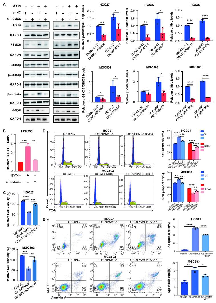 Int J Biol Sci Image