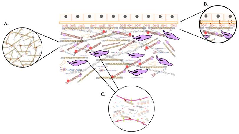 Int J Biol Sci Image