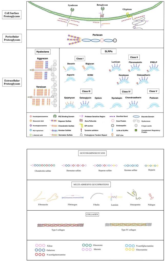 Int J Biol Sci Image
