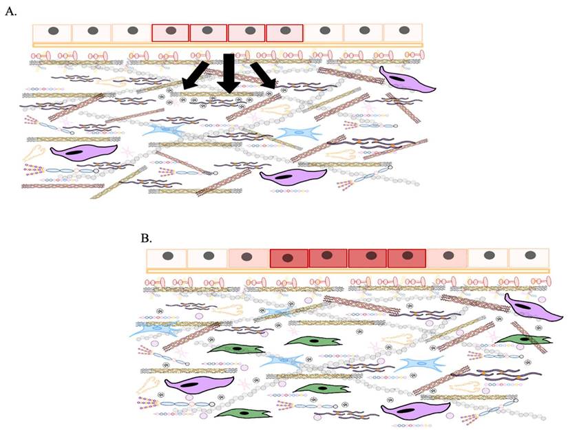 Int J Biol Sci Image