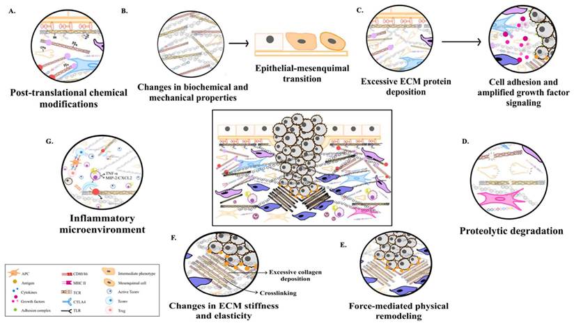 Int J Biol Sci Image
