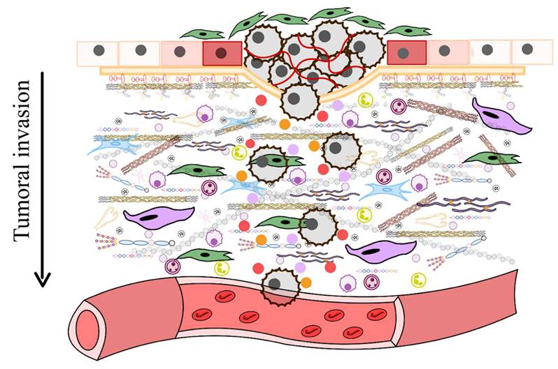 Int J Biol Sci Image