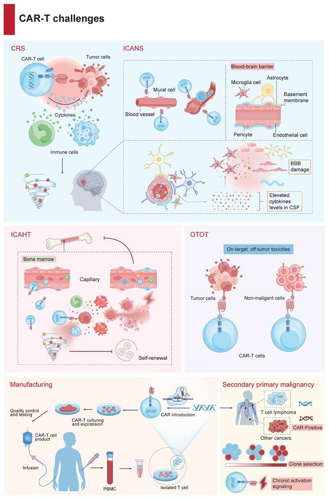 Int J Biol Sci Image