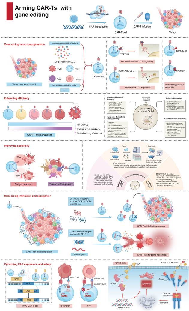 Int J Biol Sci Image
