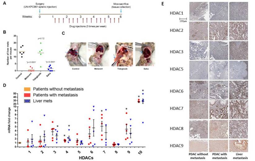 Int J Biol Sci Image